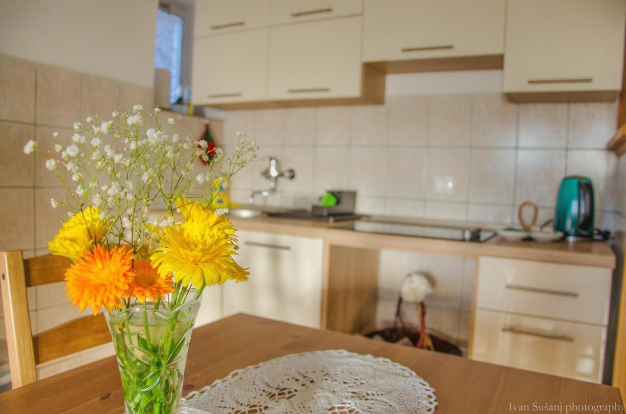 Apartment Rasce Ogulin Ngoại thất bức ảnh